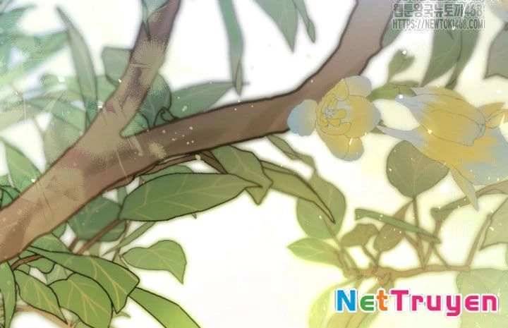 Cha Ơi Con Sẽ Không Làm Gì Đâu Chapter 26 - 41