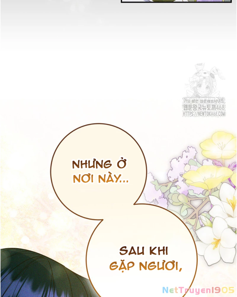 Cha Ơi Con Sẽ Không Làm Gì Đâu Chapter 37 - 48