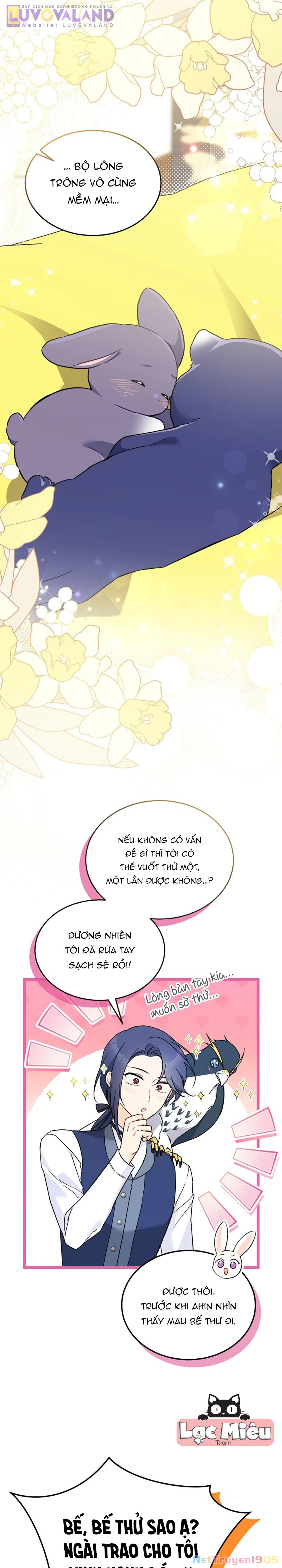Mối Liên Kết Giữa Báo Đen Và Bé Thỏ Chapter 176 - 11