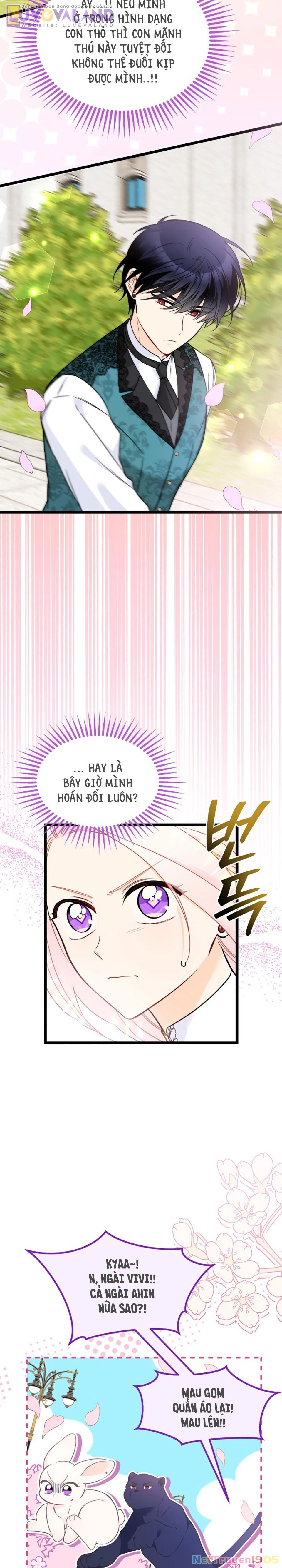Mối Liên Kết Giữa Báo Đen Và Bé Thỏ Chapter 179 - 5