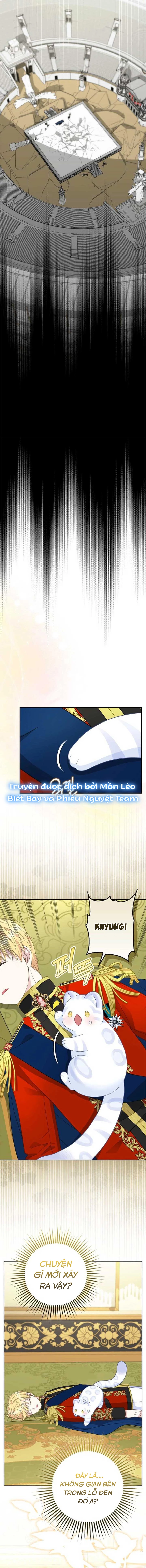 Tiểu Thư Báo Tuyết Của Gia Tộc Báo Đen Chapter 39 - 11
