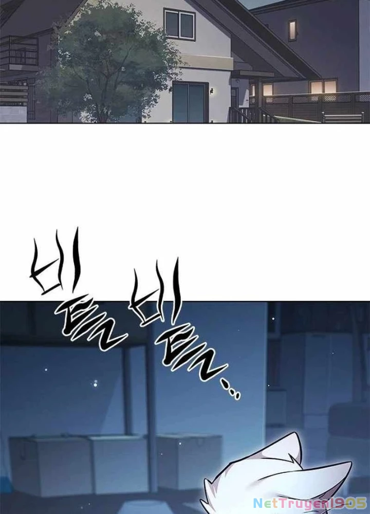 Hoá Thân Thành Mèo Chapter 358 - 247