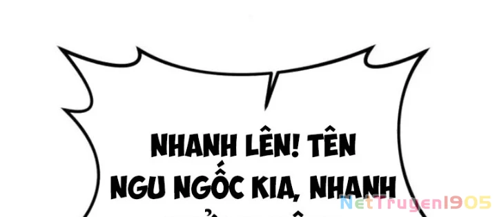 Có Lẽ Là Vô Địch Chapter 37 - 52