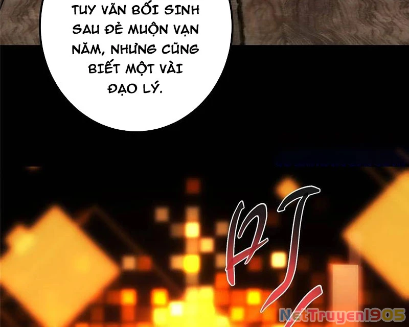 Chưởng Môn Khiêm Tốn Chút Chapter 524 - 36