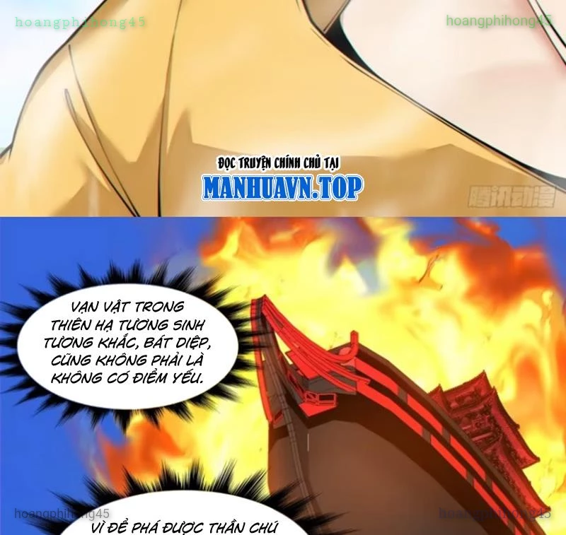 Đồ Đệ Của Ta Đều Là Đại Phản Phái Chapter 391 - 28