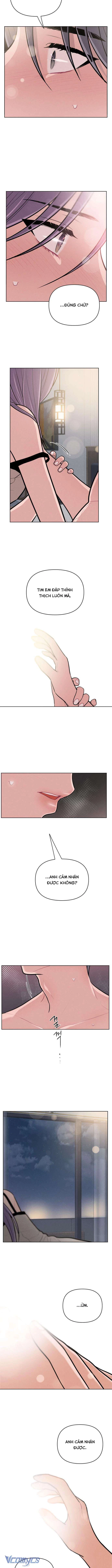 Thật Đáng Thương Cho Chúng Tôi Chapter 57 - 8