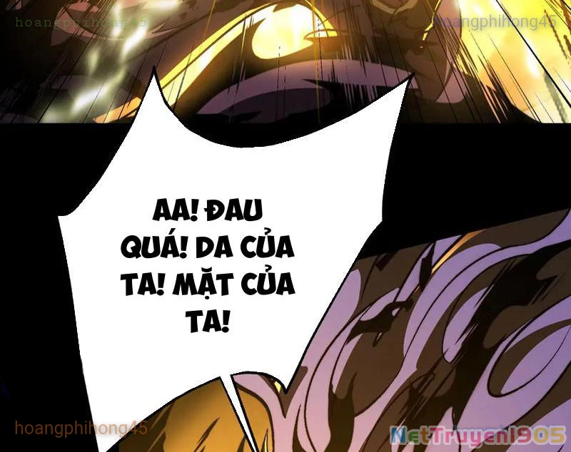 Tai Ách Cấp Mục Sư Chapter 51 - 8
