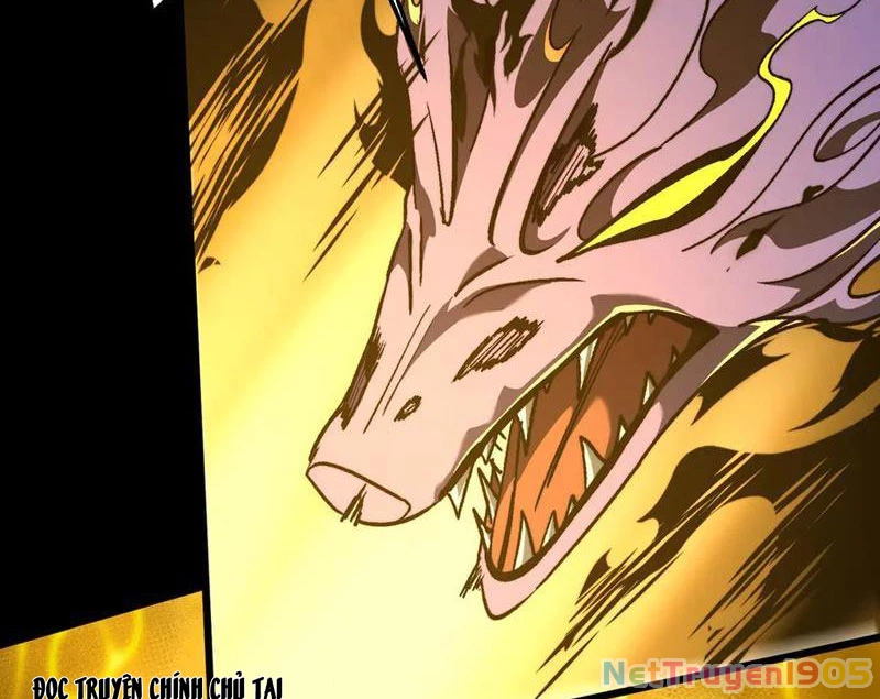 Tai Ách Cấp Mục Sư Chapter 51 - 9