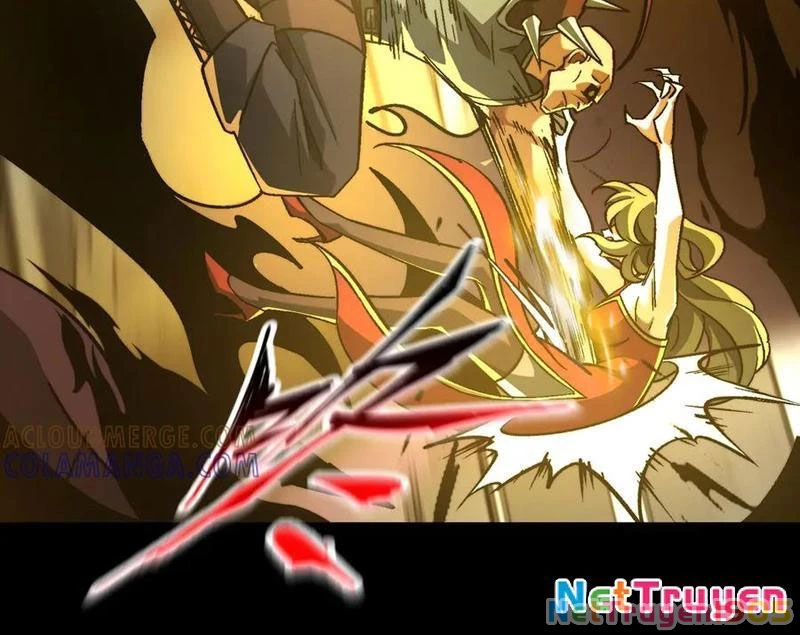 Tai Ách Cấp Mục Sư Chapter 51 - 16