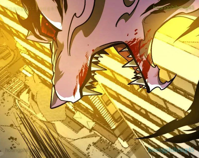Tai Ách Cấp Mục Sư Chapter 51 - 23