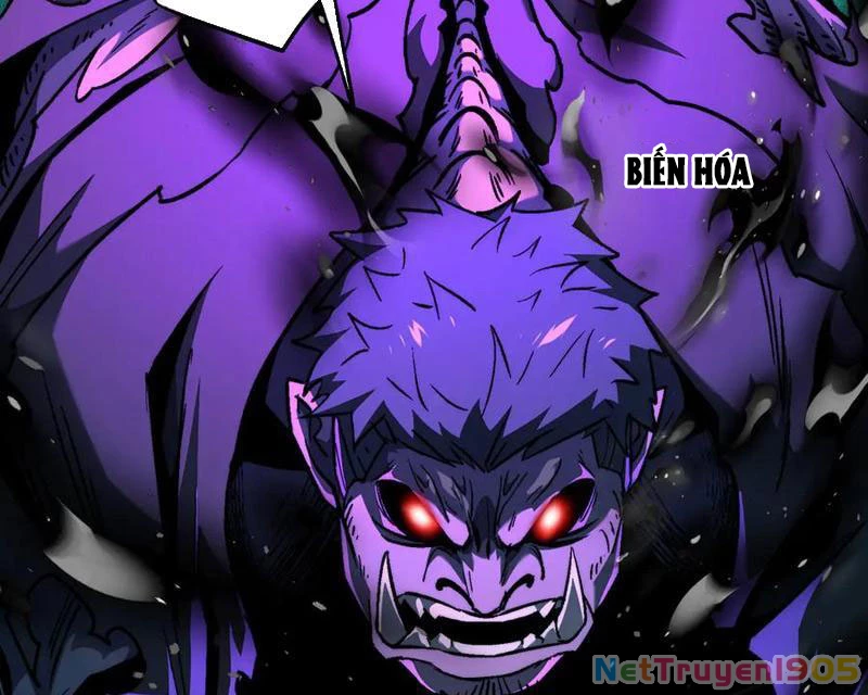 Tai Ách Cấp Mục Sư Chapter 51 - 42