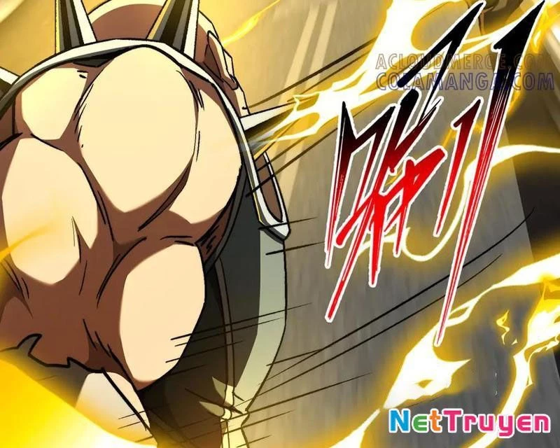 Tai Ách Cấp Mục Sư Chapter 51 - 51