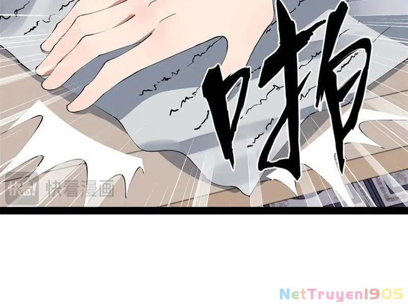 Chàng Rể Mạnh Nhất Lịch Sử Chapter 312 - 25