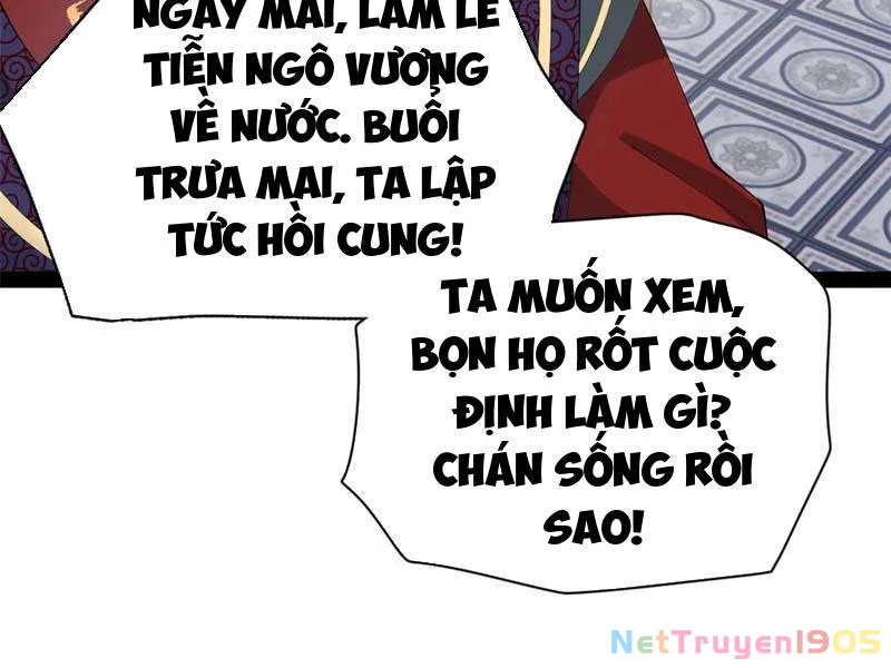 Chàng Rể Mạnh Nhất Lịch Sử Chapter 312 - 30