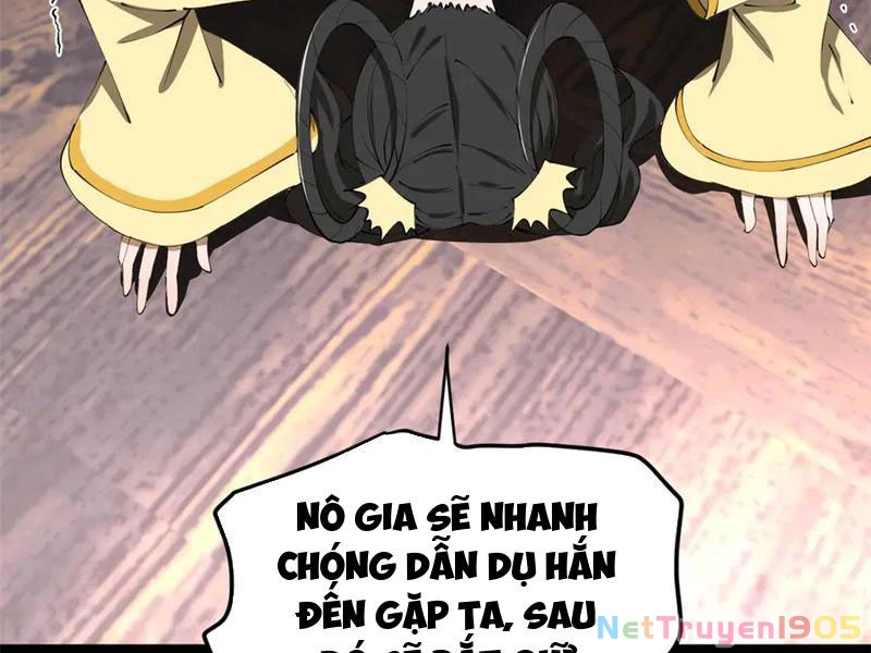 Chàng Rể Mạnh Nhất Lịch Sử Chapter 312 - 65