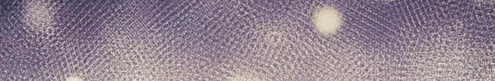 Thiên Ma Muốn Sống Một Cuộc Đời Bình Lặng Chapter 39 - 206