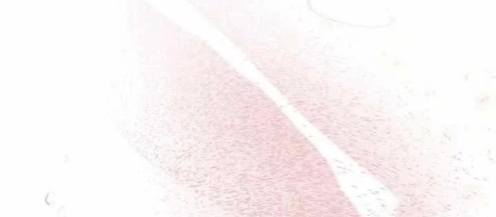 Sự tái sinh của nhà thiết kế tài ba Chapter 17 - 162