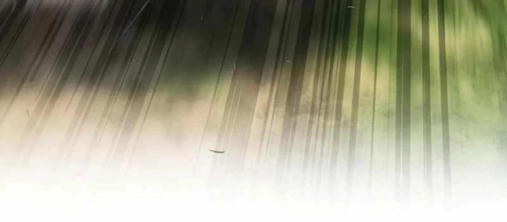 Học Viện Minh Triết Chapter 11 - 176