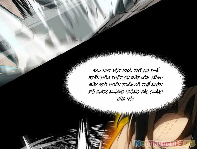 Sau Khi Chia Tay Hoa Khôi, Võ Đạo Của Ta Thẳng Tới Cấp Thần Chapter 3 - 71