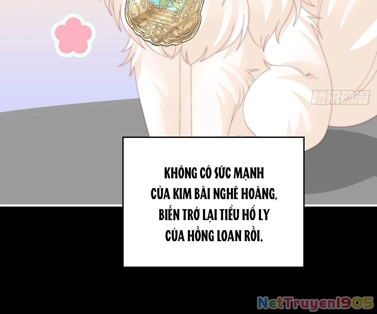 Thê Chủ, Thỉnh Hưởng Dụng Chapter 94 - 89
