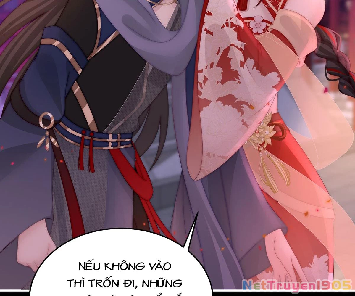 Thê Chủ, Thỉnh Hưởng Dụng Chapter 95 - 97