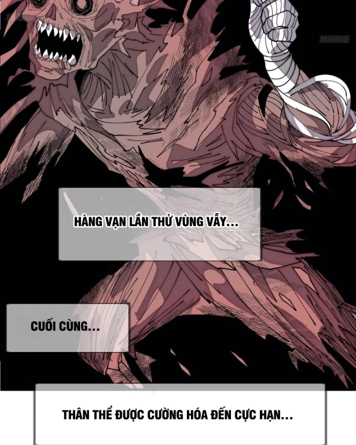 Ta Có Một Sơn Trại Chapter 1174 - 11