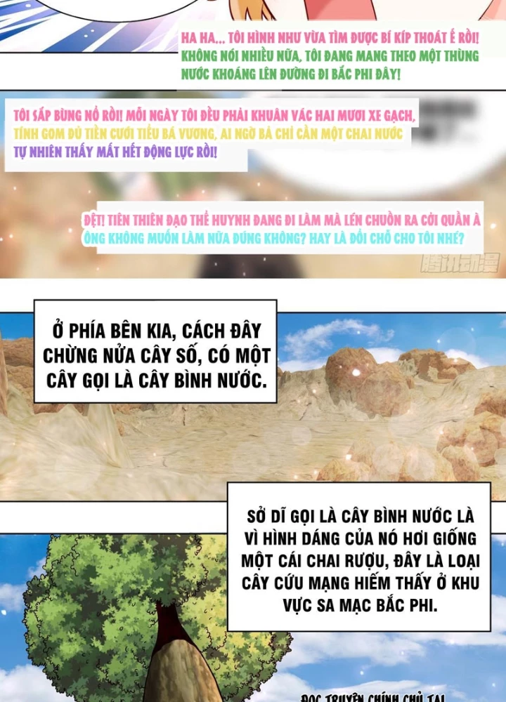 Trọng Sinh Thành Chó Của Nữ Thần Chapter 405 - 11