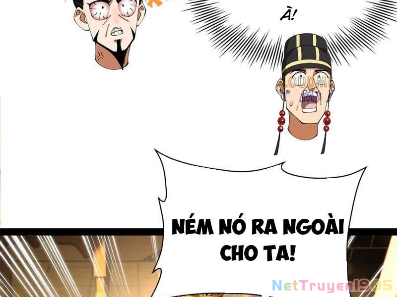 Chàng Rể Mạnh Nhất Lịch Sử Chapter 313 - 19