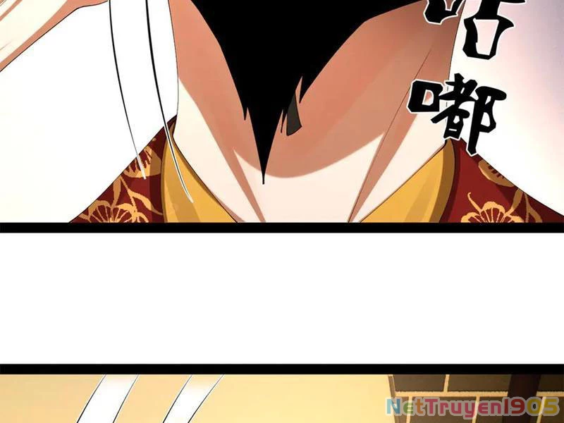 Chàng Rể Mạnh Nhất Lịch Sử Chapter 313 - 56