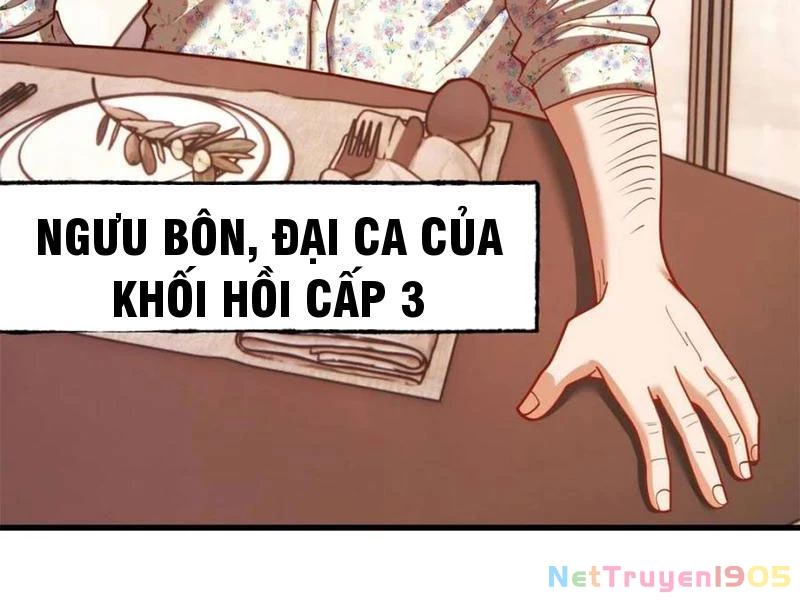 Trọng Sinh Không Làm Chạn Vương, Tôi Một Mình Nạp Game Thăng Cấp Chapter 242 - 133