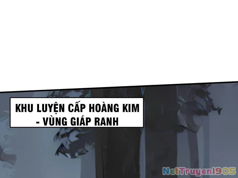 Thái Cổ Thập Hung: Người khác ngự thú ta ngự thú nương Chapter 32 - 62