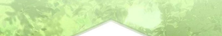 Kim Chiến Sĩ: Hành Trình Xây Dựng Đặc Tính Chapter 47 - 18