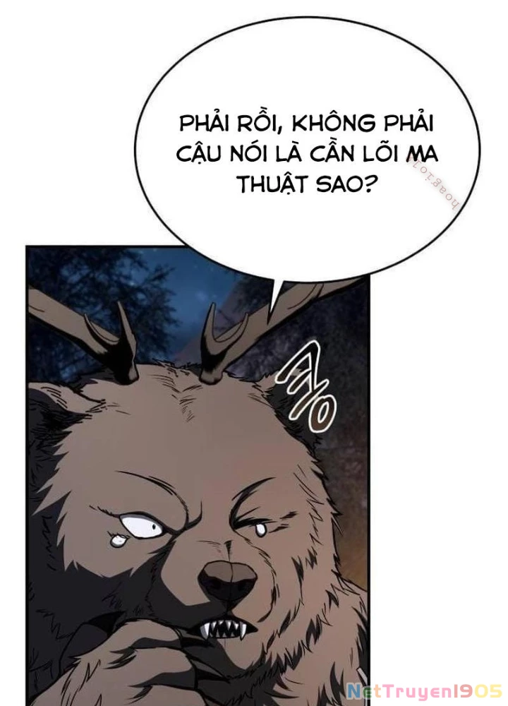 Kim Chiến Sĩ: Hành Trình Xây Dựng Đặc Tính Chapter 47 - 85