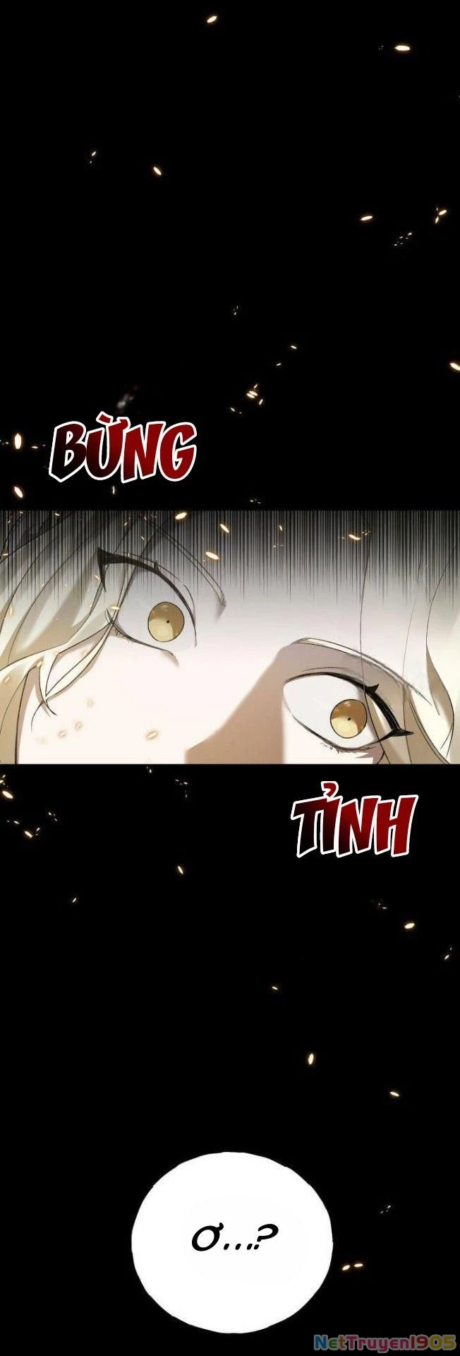 Cú Đấm Netkama Chapter 2 - 13