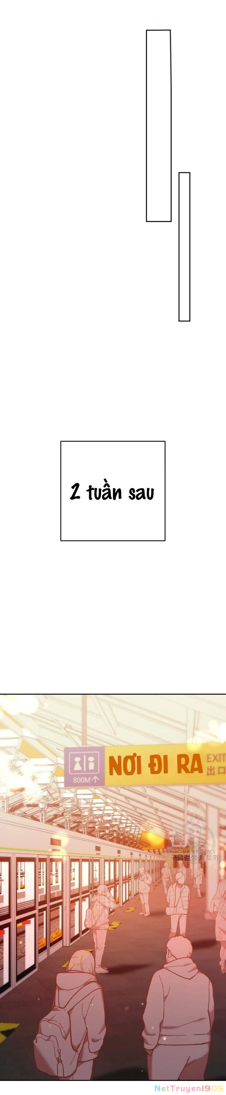 Cú Đấm Netkama Chapter 14 - 22