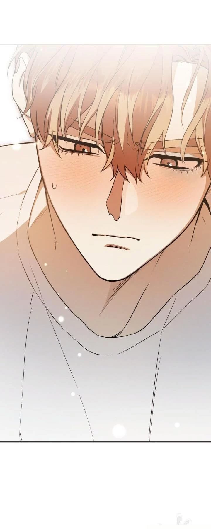 Cú Đấm Netkama Chapter 37 - 25
