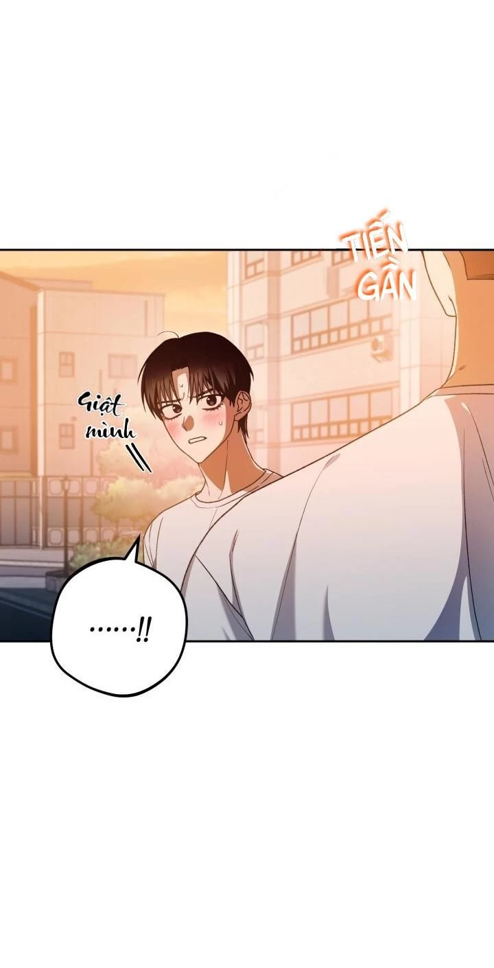 Cú Đấm Netkama Chapter 38 - 5