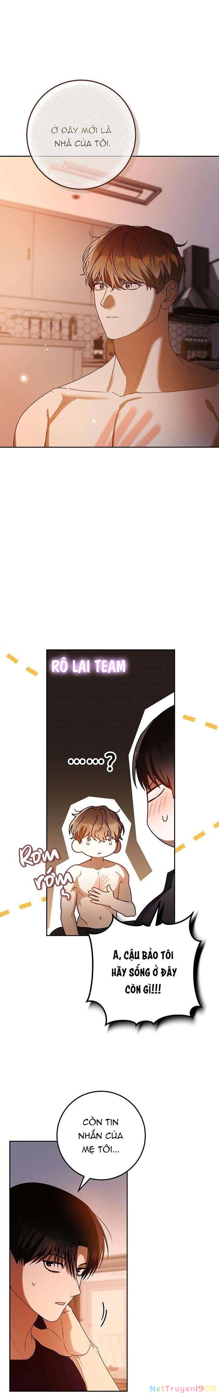 Cú Đấm Netkama Chapter 81 - 15