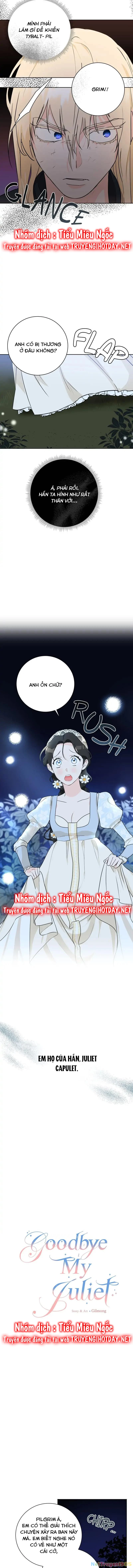 Tạm Biệt Nàng, Juliet Chapter 14 - 2