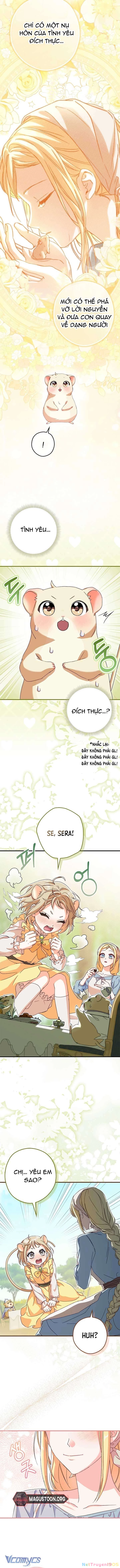 Chuột Đồng Này Sẽ Đưa Lọ Lem Đi Chapter 6 - 9