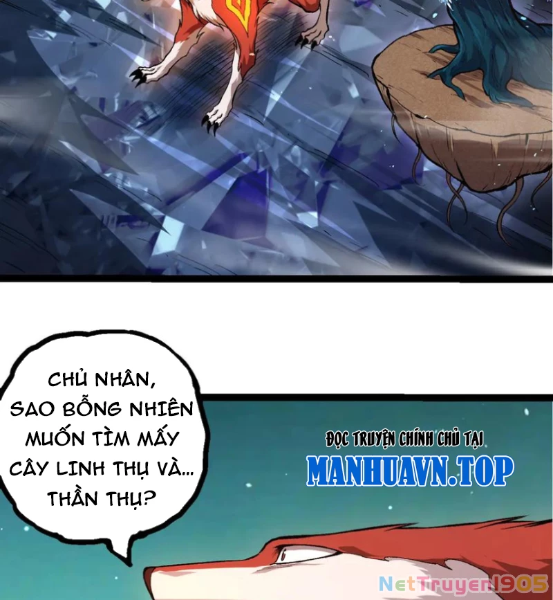 Chuyển Sinh Thành Liễu Đột Biến Chapter 399 - 2
