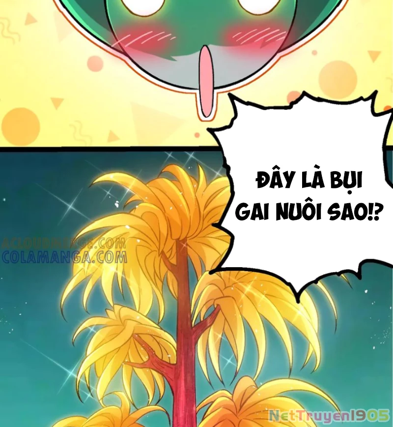 Chuyển Sinh Thành Liễu Đột Biến Chapter 399 - 24