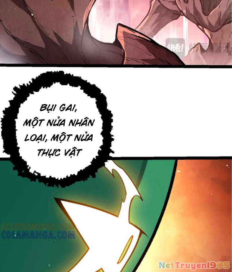 Chuyển Sinh Thành Liễu Đột Biến Chapter 399 - 48