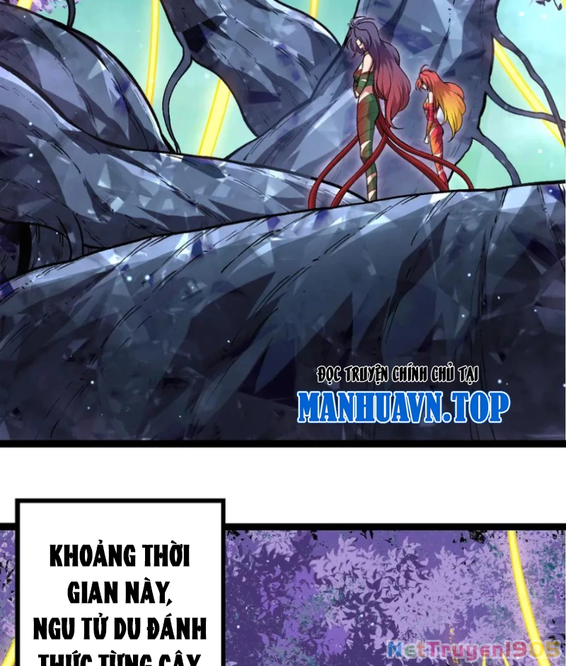 Chuyển Sinh Thành Liễu Đột Biến Chapter 399 - 50