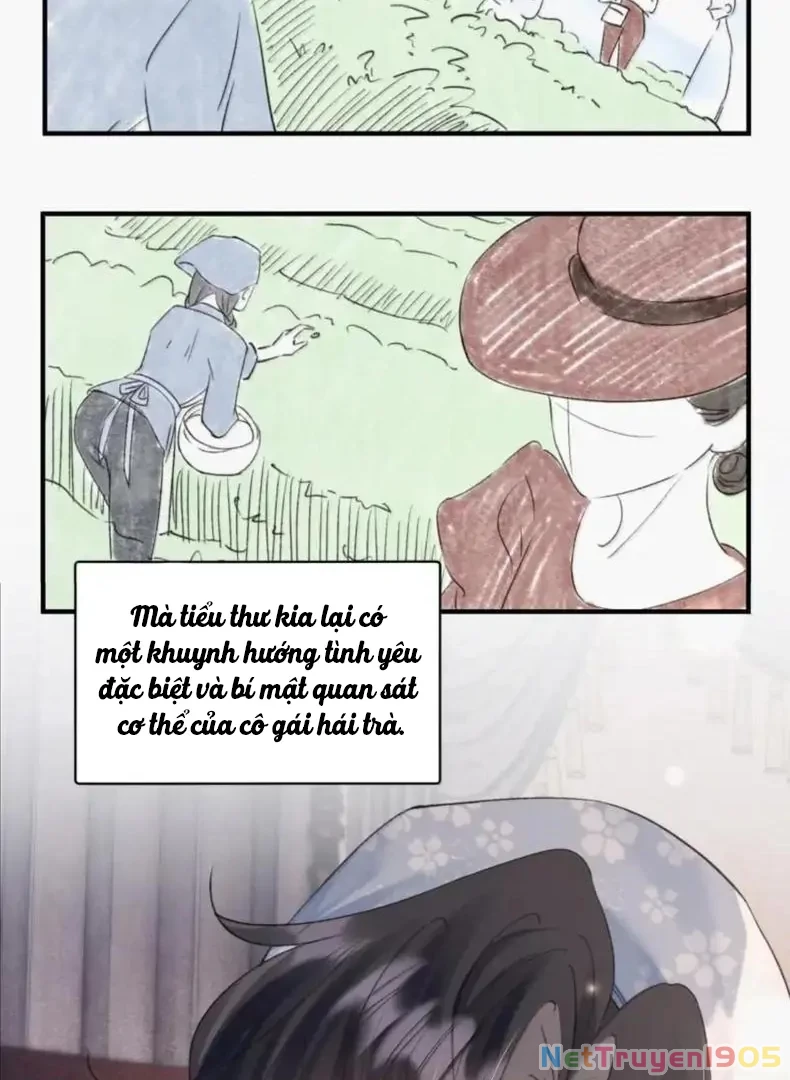 Ảnh Riêng Tư Chapter 41 - 34