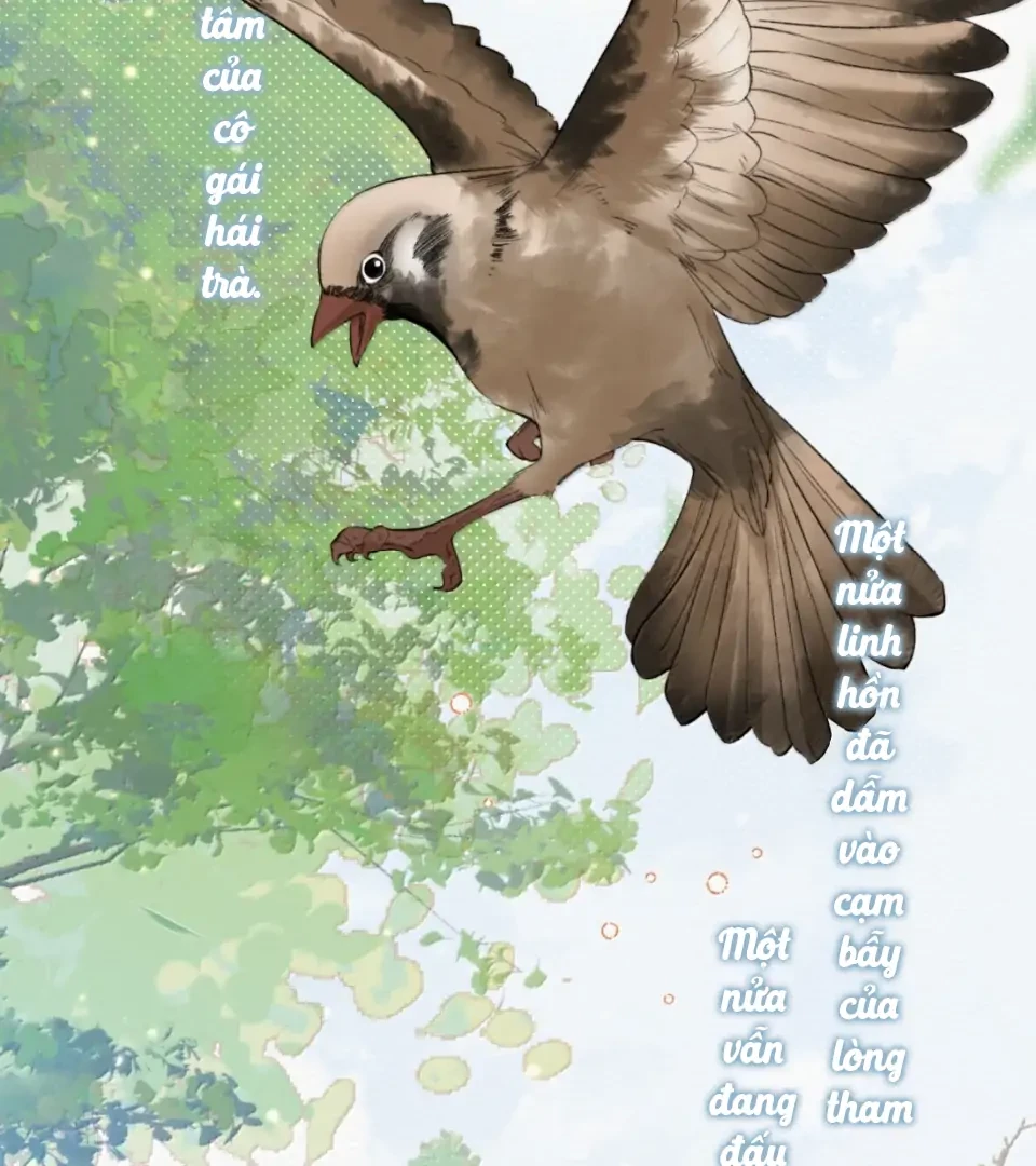 Ảnh Riêng Tư Chapter 42 - 15