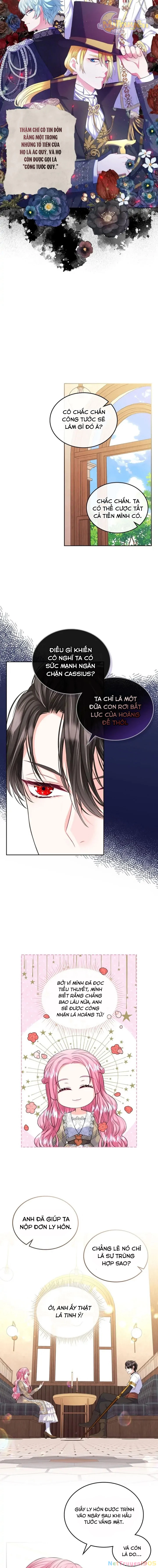 Tôi Sẽ Ly Hôn Với Anh Trai Nữ Chính Chapter 14 - 5