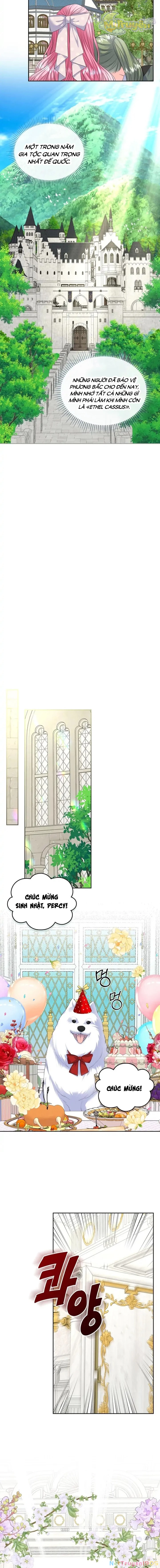 Tôi Sẽ Ly Hôn Với Anh Trai Nữ Chính Chapter 17 - 6