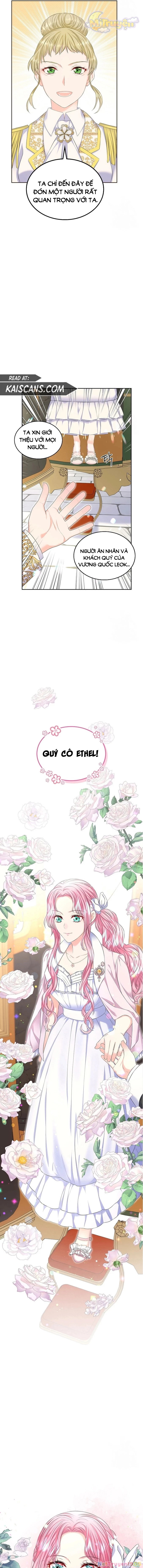 Tôi Sẽ Ly Hôn Với Anh Trai Nữ Chính Chapter 27 - 5