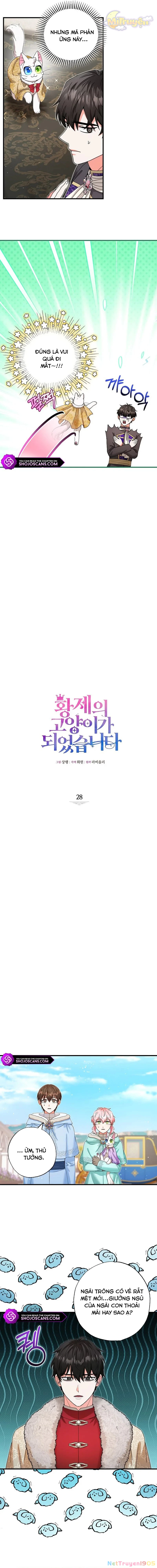 Trở Thành Miêu Nữ Của Hoàng Đế Chapter 28 - 5